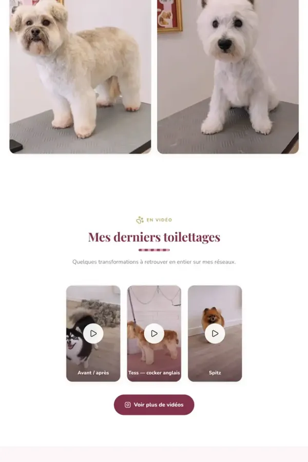 Les Pattes Soyeuses, section 4 du site