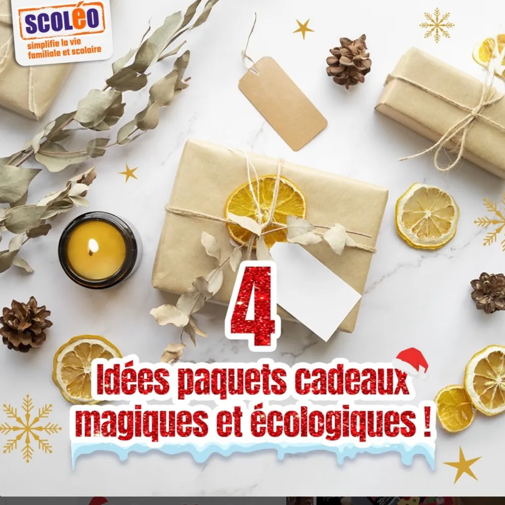 Post Instagram Scoleo, idées d'emballages cadeaux écologiques